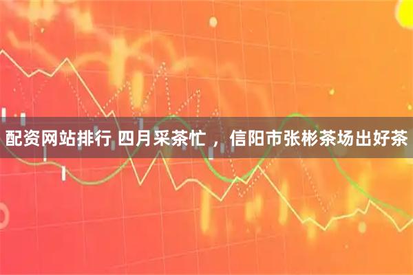 配资网站排行 四月采茶忙 ,信阳市张彬茶场出好茶